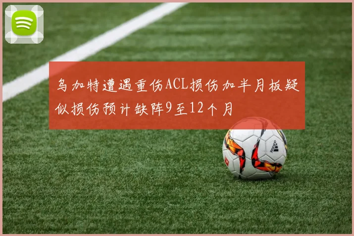 乌加特遭遇重伤ACL损伤加半月板疑似损伤预计缺阵9至12个月